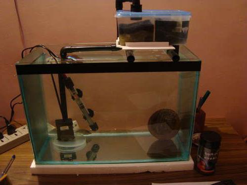 спољни филтер за акваријум урадите сами