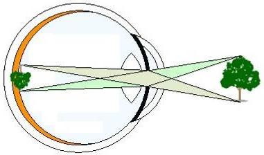 Optički sustav i refrakcija oka