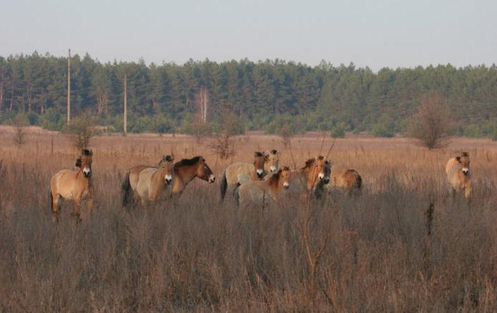 Den rezerv a národních parků v Bělorusku