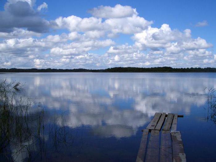 národní parky a rezervy Běloruské republiky