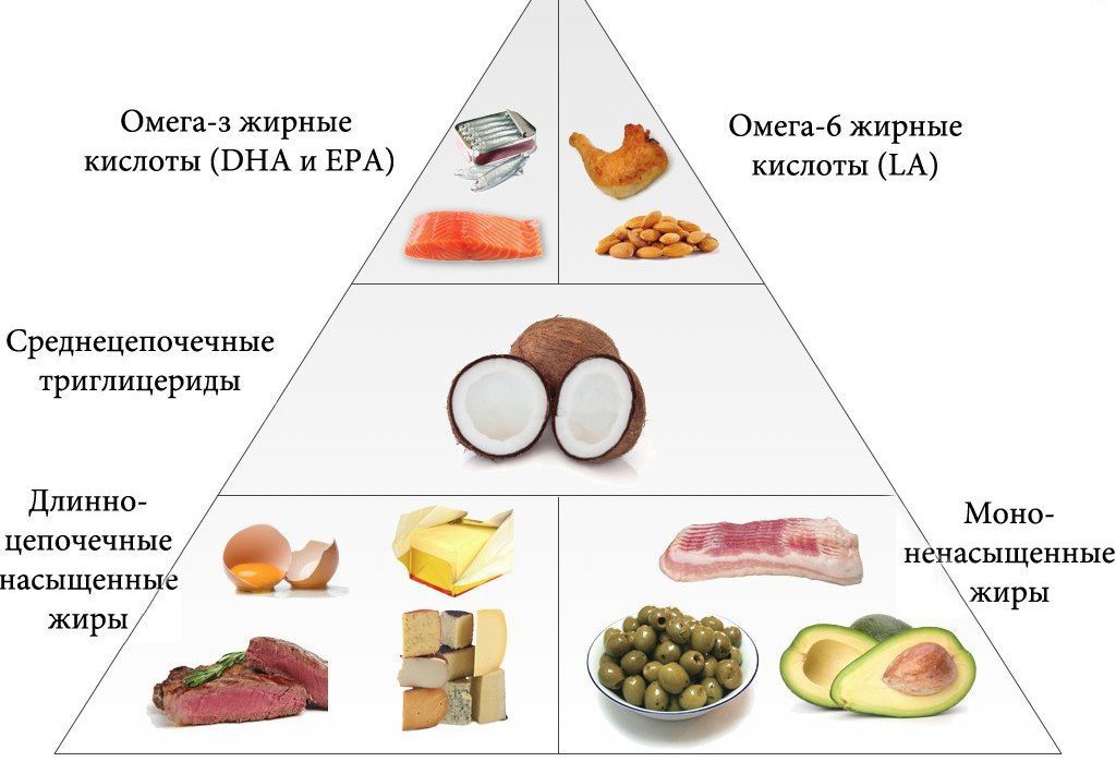 piramida maščobnih kislin