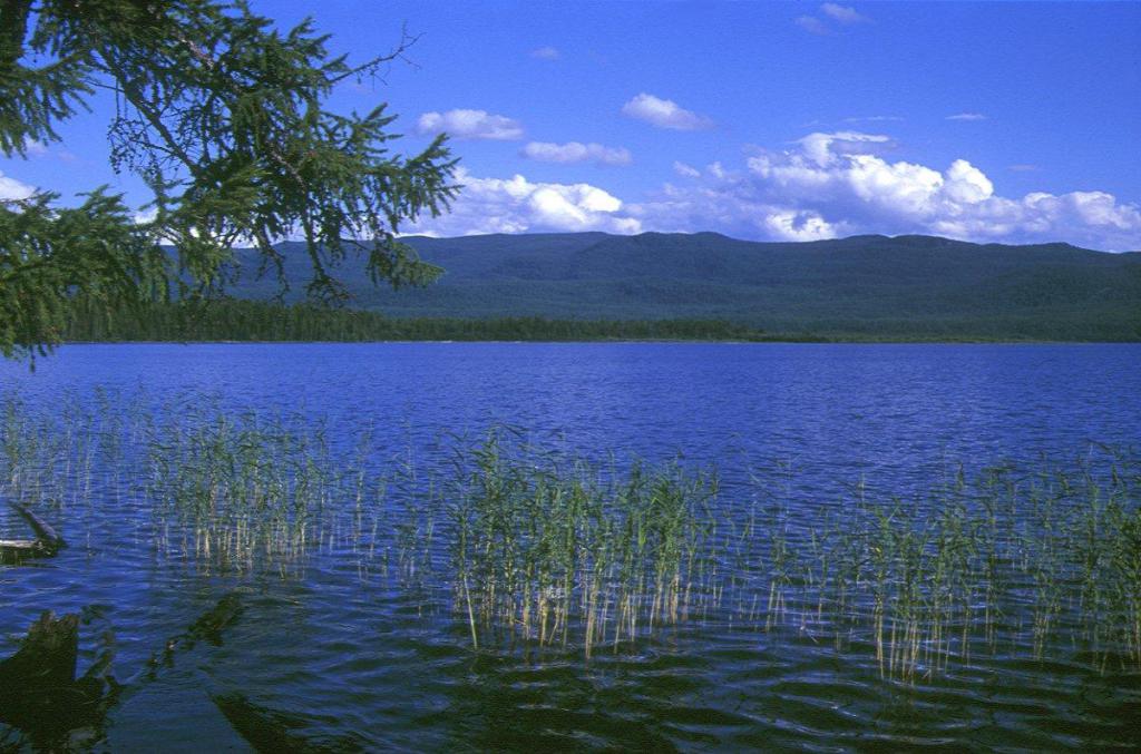 Jezioro Rezerwatu Azas