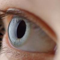 strukturo človeškega očesa