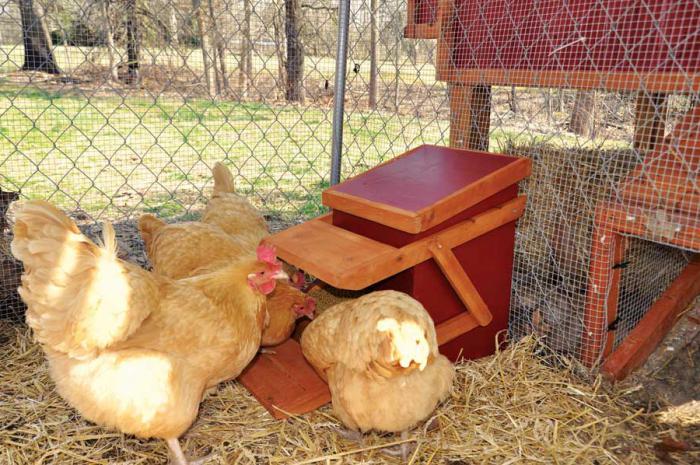 хранилки и поилки за пилета със собствените си ръце