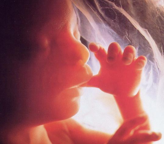 rozwój wewnątrzmaciczny dziecka do tygodnia ciąży