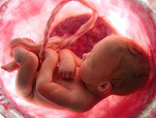 intrauterinní vývoj dítěte ve třetím týdnu