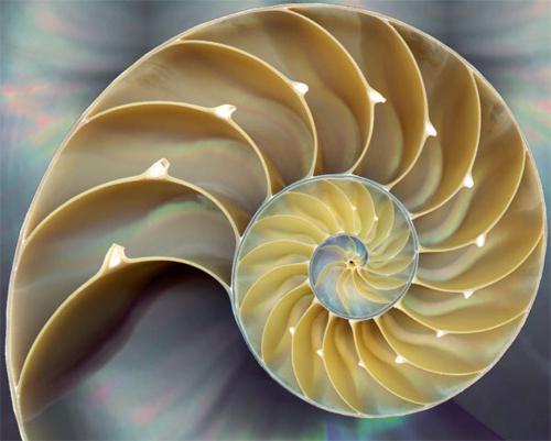 Fibonaccijev