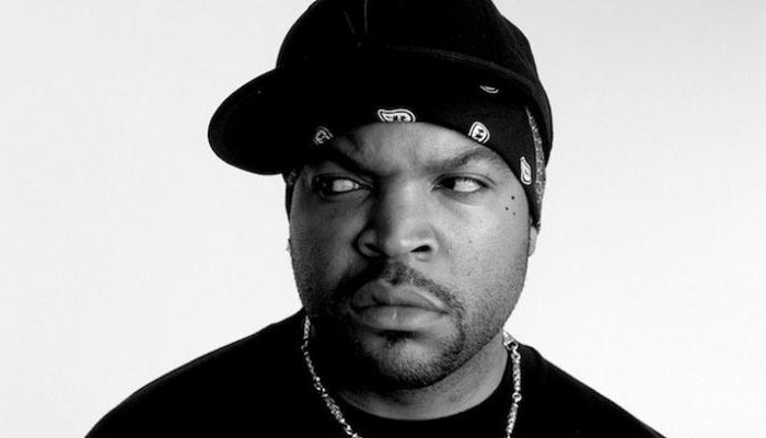 Filmografia di Ice Cube