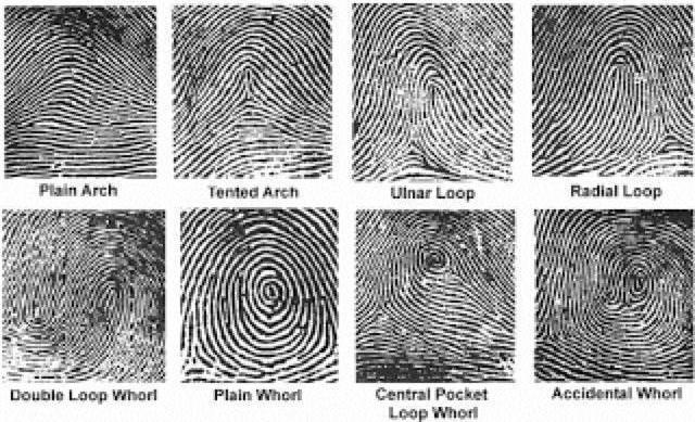 Carta di impronte digitali