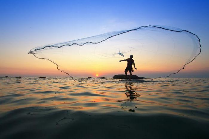 Fińskie sieci rybackie