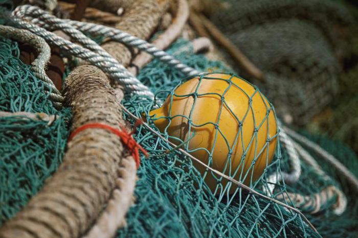 Finska tristranska ribiška mreža