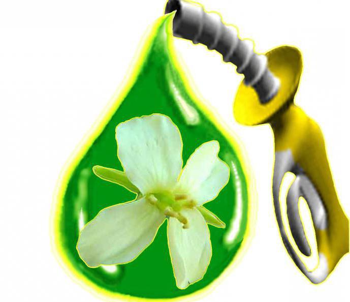 camino domestico di biocarburanti