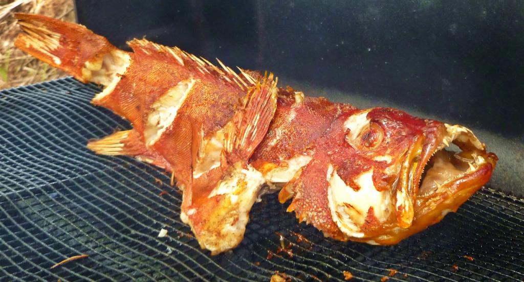 grilovaný grouper