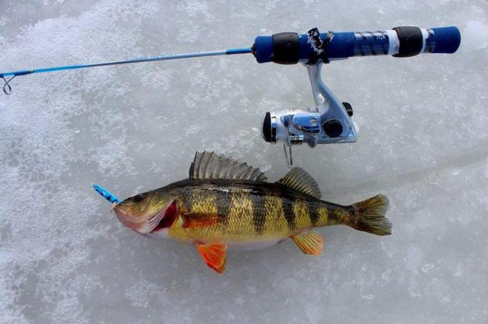 Pesca sportiva invernale