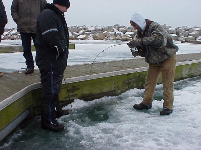 Pstruh rybolov v zimě