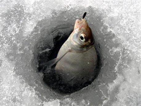 Риболовът на платика през зимата в резервоара