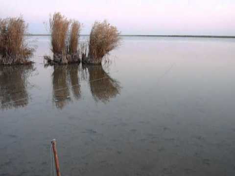Риболов на дъвка на реката
