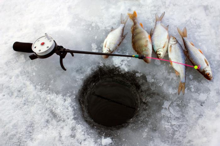 pesca al triotto sul fiume in inverno