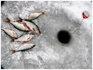 rybaření v zimě v nádrži
