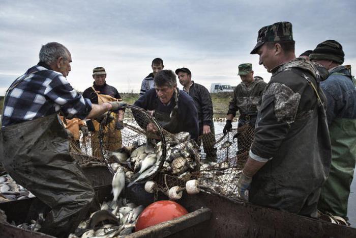 Napoved ribolovnega ribolova Balakovo