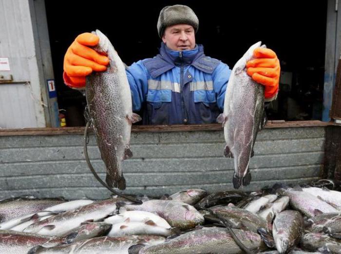 ribolov šarana u Khakassiji