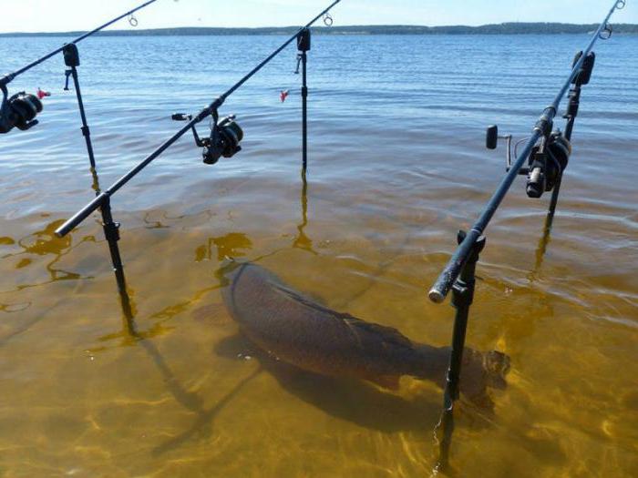 łowić ryby na morzu Kramatorsk