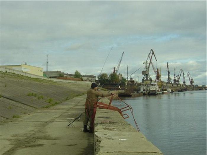 prognoza za ribolov u Nizhnevartovsku
