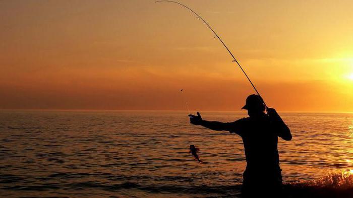 Rybolov v Primorye v létě