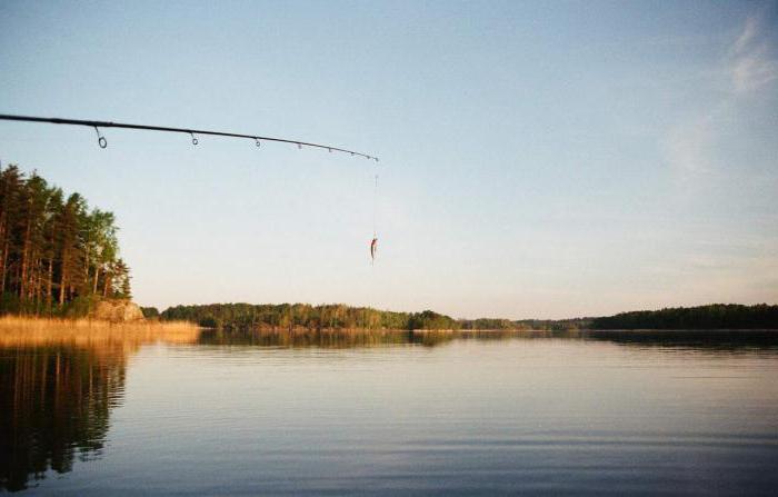 pesca a Grodno e nella regione di Grodno