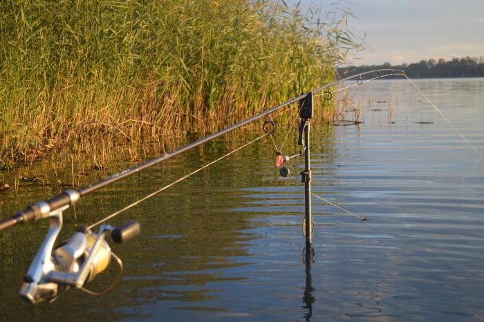 plavil rybolov v oblasti Ryazan