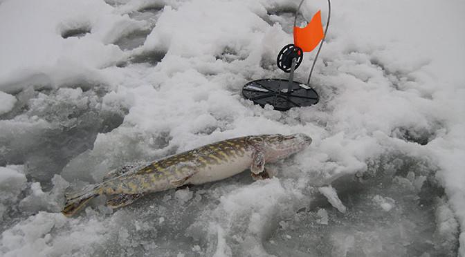 Zimní rybolov zherlitsy