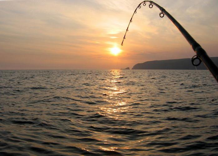 плаћени риболов на Волги у Тверској регији