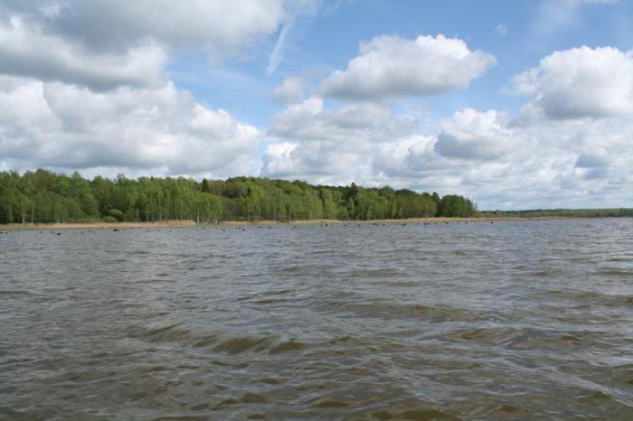 Yauzskoe přehrada