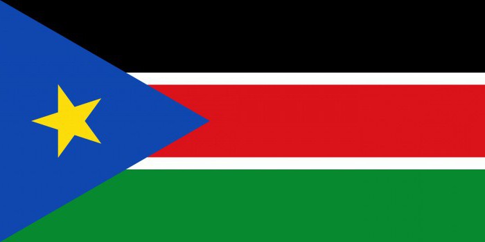 come appare la bandiera del Sud Sudan
