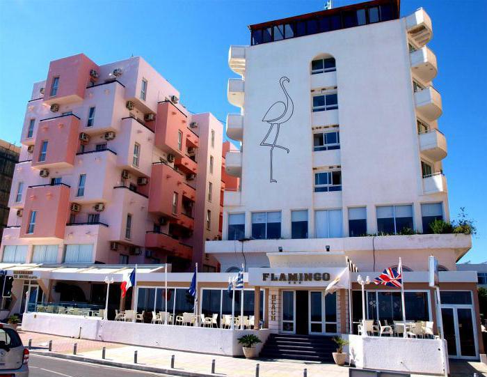 hotel na plaży flamingo 3
