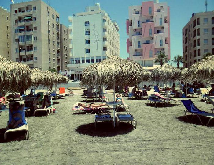 larnaca flamingo beach hotel 3