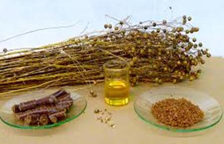 i benefici e i danni dell'olio di semi di lino