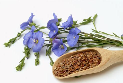 koristi in škode za laneno seme