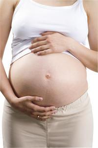 Fleming masti během těhotenství