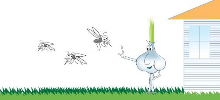 rimedi popolari per zanzare e mosche nere