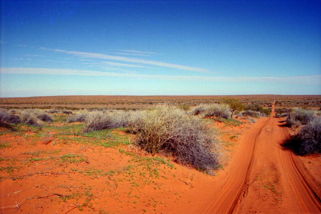 Australijska pustynia