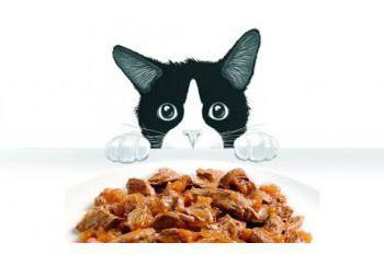 recensioni di cibo per gatti bagnato felix