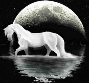 мечтае кон бял кон в сън