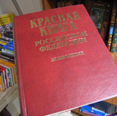 lesní zvířata červené knihy Ruska