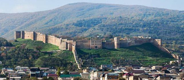 Zdjęcie Naryn Kala Fortress