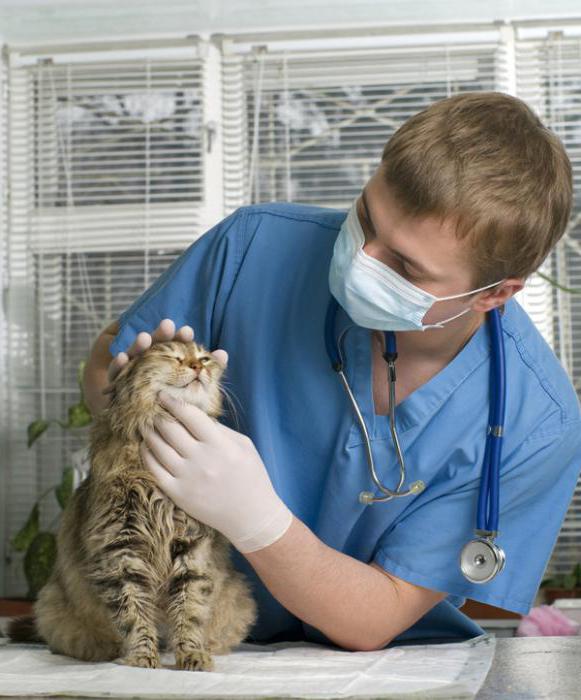 medicina per gatti fosprenil