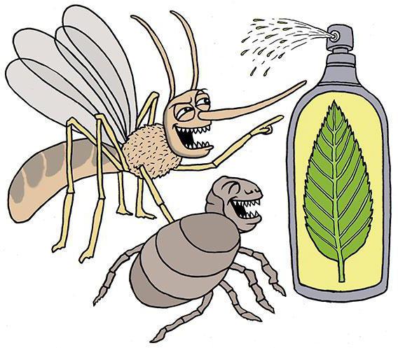 przepis na waniliowe komary