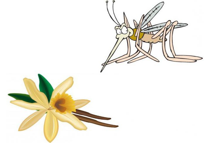 pregled komaraca vanilije