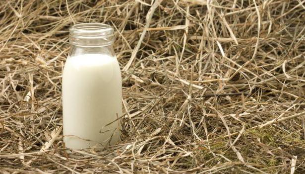 Škody na čerstvém mléce