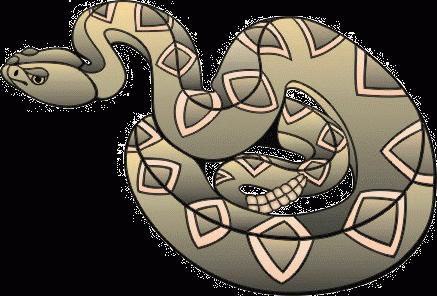 Wymarzony snake snake snake
